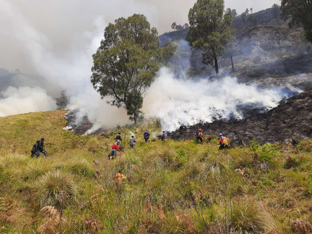 Karhutla Terjadi di Bukit Teletubies Gunung Bromo, Sebagian Kawasan Wisata Ditutup